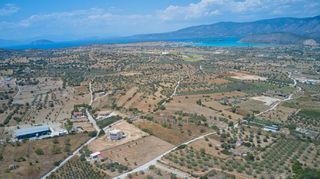 Αγροτεμάχια 4.172 τ.μ. για πώληση, Αργολίδα, Κρανίδι-thumb-13