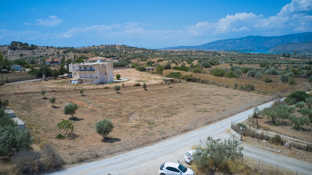 Αγροτεμάχια 4.172 τ.μ. προς πώληση, Κάμπος Κρανιδίου
