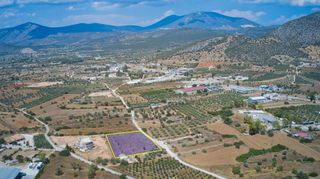 Αγροτεμάχια 4.172 τ.μ. για πώληση, Αργολίδα, Κρανίδι-thumb-5