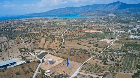 Αγροτεμάχια 4.172τ.μ. για πώληση-Κρανίδι » Κάμπος
