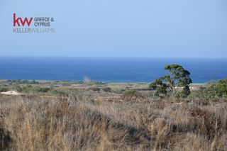 Αγροτεμάχια 7.200 τ.μ. για πώληση