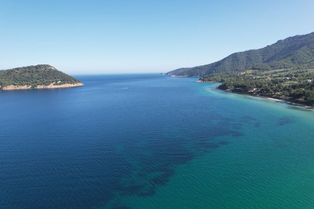 Αγροτεμάχια 2.060 τ.μ. για πώληση, Ν. Καβάλας, Θάσος