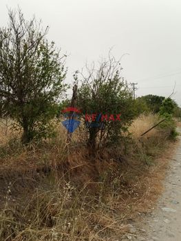 Οικόπεδο 630τ.μ. για πώληση-Τυμπάκι » Φανερωμένη