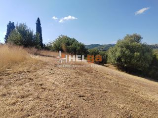 Οικόπεδο 1.000 τ.μ. για πώληση, Αχαΐα, Μεσσατίδα-thumb-1
