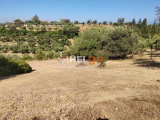 Οικόπεδο 1.000 τ.μ. για πώληση, Αχαΐα, Μεσσατίδα-thumb-3