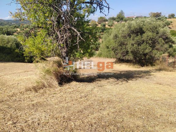 Οικόπεδο 1.000 τ.μ. για πώληση, Αχαΐα, Μεσσατίδα
