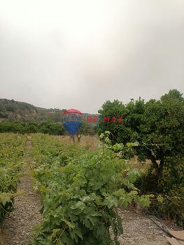 Οικόπεδο 430τ.μ. για πώληση-Τυμπάκι » Φανερωμένη