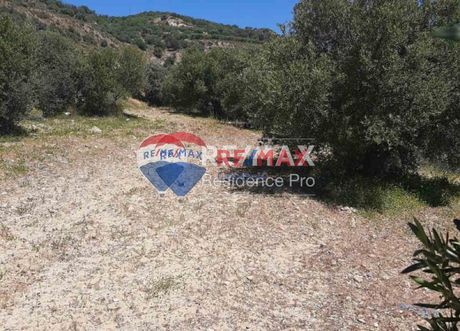 Οικόπεδο 4.300τ.μ. για πώληση-Αγία βαρβάρα » Άνω μούλια