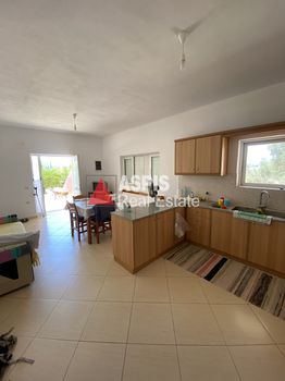 Μονοκατοικία 300τ.μ. για πώληση-Παλαιά φώκαια