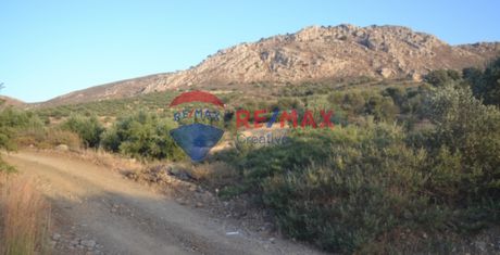Αγροτεμάχια 4.600τ.μ. για πώληση-Μοίρες » Λίσταρος