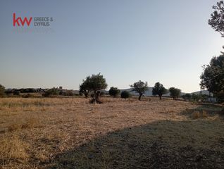 Αγροτεμάχια 11.500 τ.μ. πρός ενοικίαση, Αττική - Υπόλοιπο, Μαρκόπουλο-thumb-3