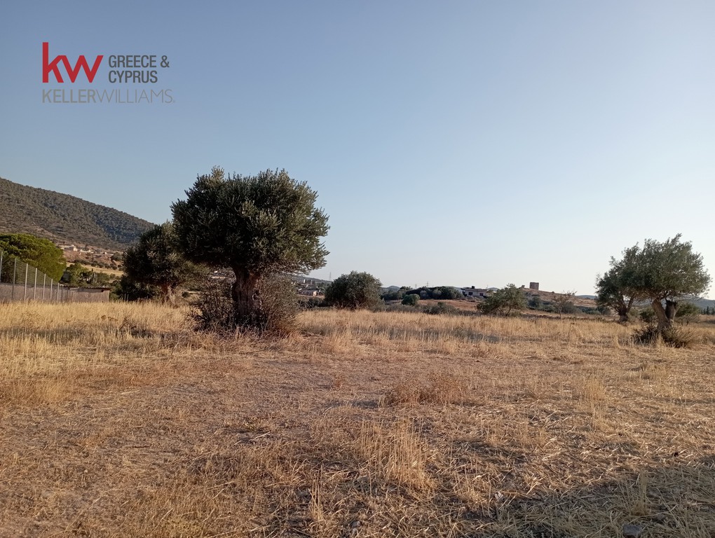 Αγροτεμάχια 11.500 τ.μ. πρός ενοικίαση, Αττική - Υπόλοιπο, Μαρκόπουλο