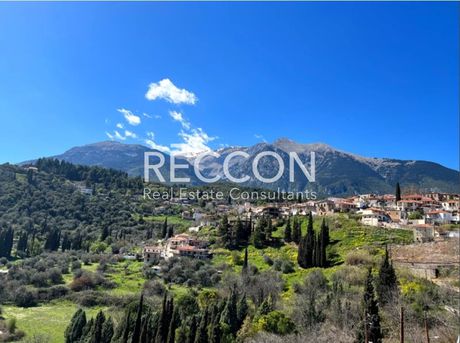 Hotel 330sqm for rent-Davleia » Center