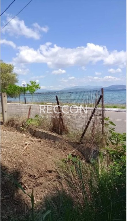 Οικόπεδο 1.800 τ.μ. προς πώληση, Παραλία Πολιτικών