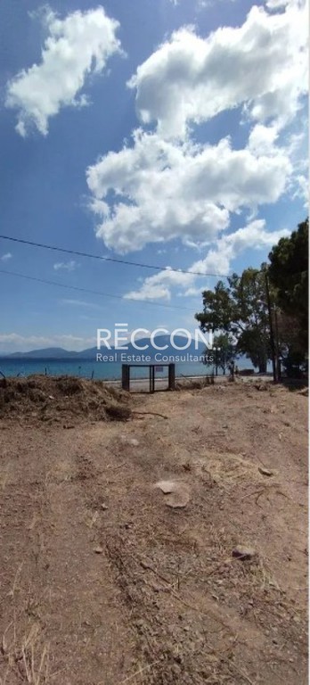 Οικόπεδο 1.800 τ.μ. προς πώληση, Παραλία Πολιτικών