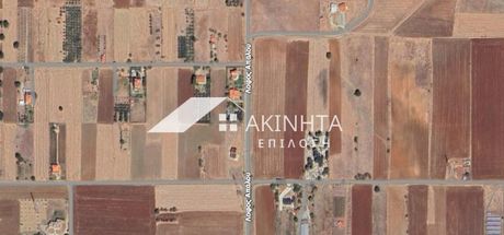 Αγροτεμάχια 12.500τ.μ. για πώληση-Αλεξανδρούπολη » Απαλός