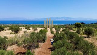 Αγροτεμάχια 1.500 τ.μ. για πώληση