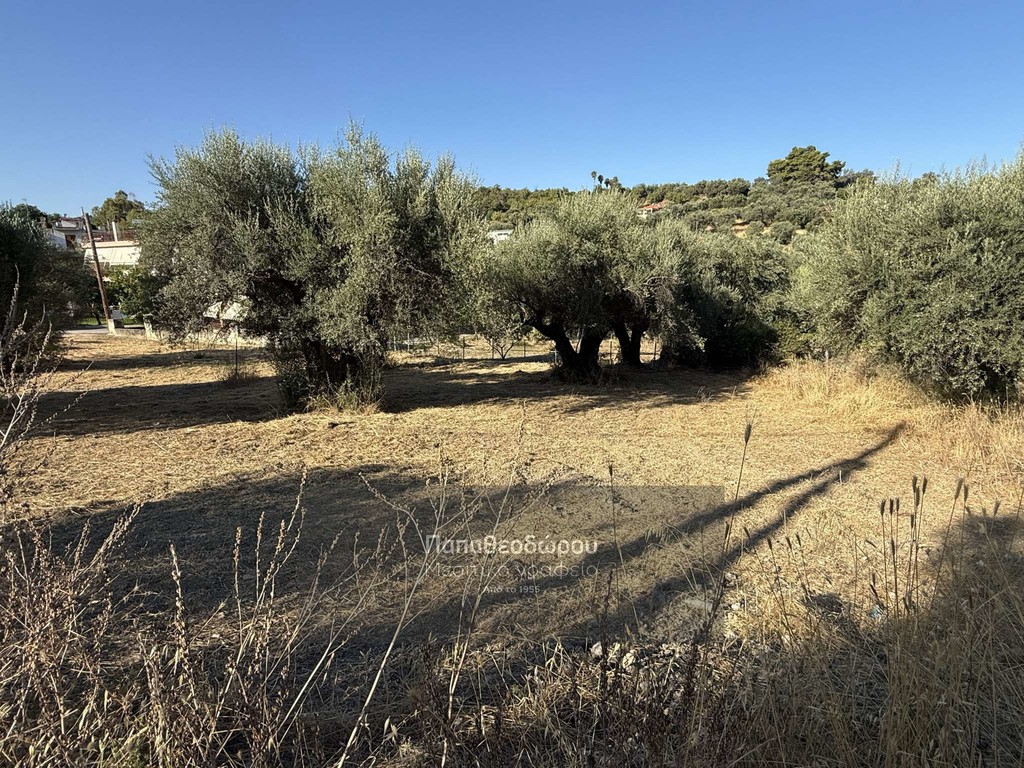 Land plot 300 sqm for sale, Achaia, Messatida