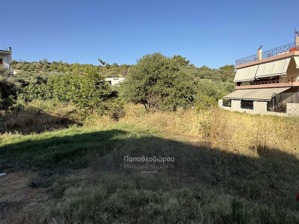 Οικόπεδο 300 τ.μ. για πώληση, Αχαΐα, Μεσσατίδα