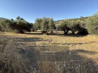 Οικόπεδο 300 τ.μ. για πώληση, Αχαΐα, Μεσσατίδα-thumb-5