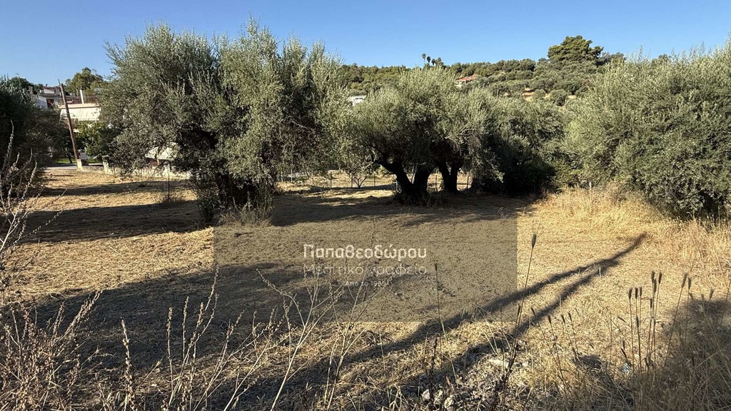 Land plot 300 sqm for sale, Achaia, Messatida