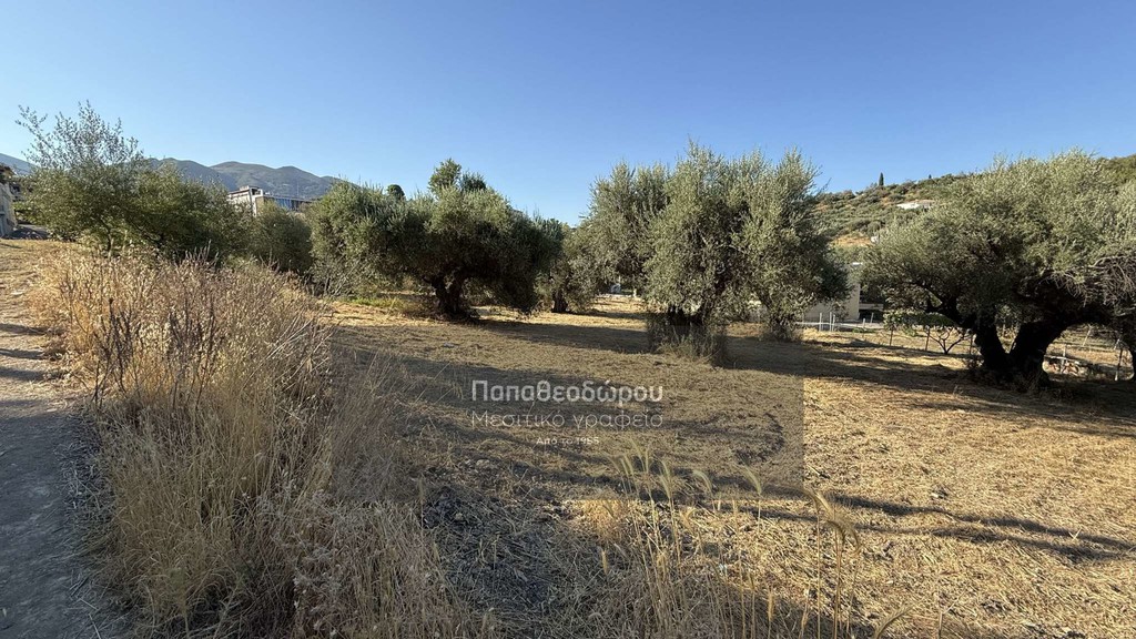 Land plot 300 sqm for sale, Achaia, Messatida