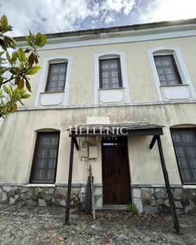 Μεζονέτα 463τ.μ. για πώληση-Μούρεσι » Ανήλιο