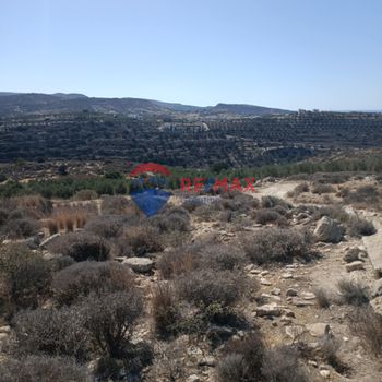 Οικόπεδο 6.285τ.μ. για πώληση-Τυμπάκι » Καμηλάρι