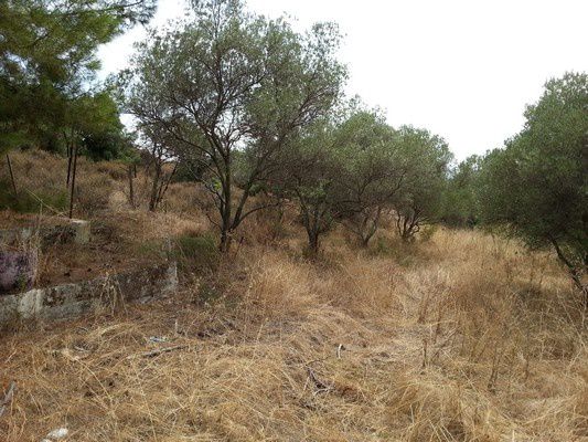 Αγροτεμάχια 640 τ.μ. για πώληση, Ν. Καβάλας, Ελευθερές