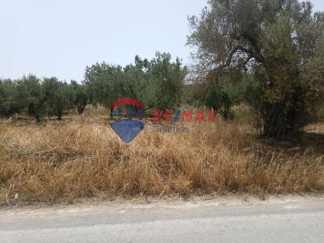 Οικόπεδο 824τ.μ. για πώληση-Τυμπάκι » Καμηλάρι