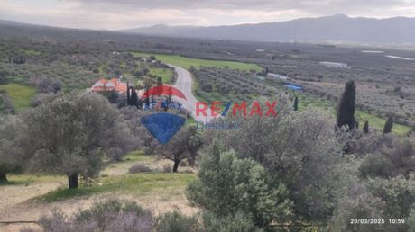 Αγροτεμάχια 2.800τ.μ. για πώληση-Γορτύνα » Άγιοι δέκα