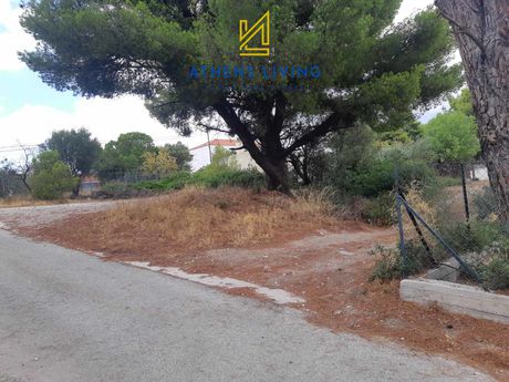 Land plot 427 sqm for sale