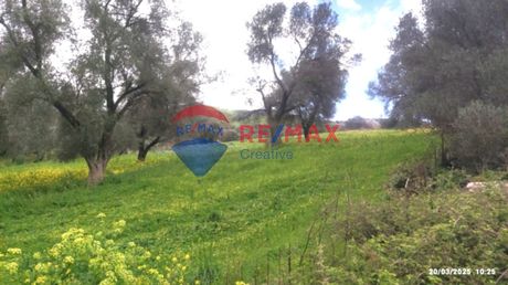 Parcel 6.800sqm for sale-Gortina » Vourvoulitis