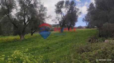 Αγροτεμάχια 6.800τ.μ. για πώληση-Γορτύνα » Βουρβουλίτης