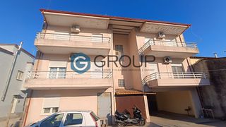 Κτίριο 497 τ.μ. για πώληση, Εβρος, Φέρες-thumb-9