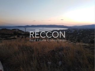 Οικόπεδο 4.500 τ.μ. προς πώληση, Αετός Καρύστου-thumb-3