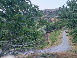 Οικόπεδο 2.125 τ.μ. για πώληση, Κυκλάδες, Άνδρος-thumb-3
