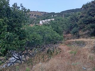 Οικόπεδο 2.125 τ.μ. για πώληση, Κυκλάδες, Άνδρος-thumb-4