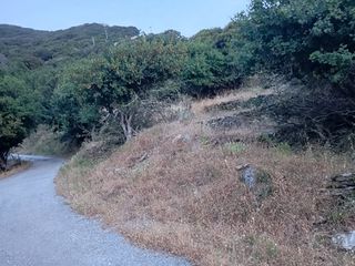 Οικόπεδο 2.125 τ.μ. για πώληση, Κυκλάδες, Άνδρος-thumb-7