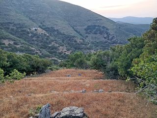 Οικόπεδο 2.125 τ.μ. για πώληση, Κυκλάδες, Άνδρος-thumb-9