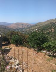 Οικόπεδο 2.125 τ.μ. για πώληση, Κυκλάδες, Άνδρος-thumb-16