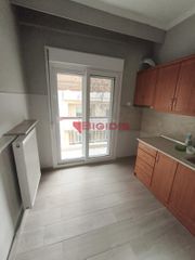 Studio 38 sqm for rent