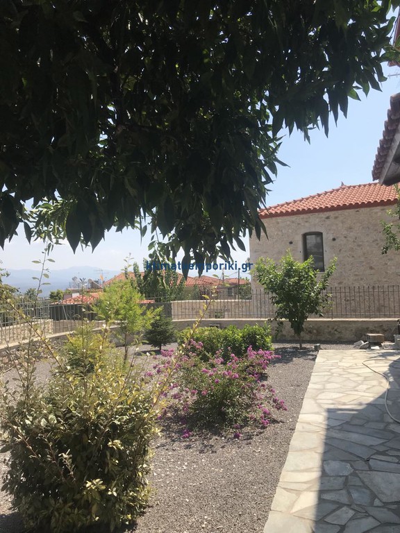 Μονοκατοικία 144 τ.μ. προς πώληση, Φαρίδα