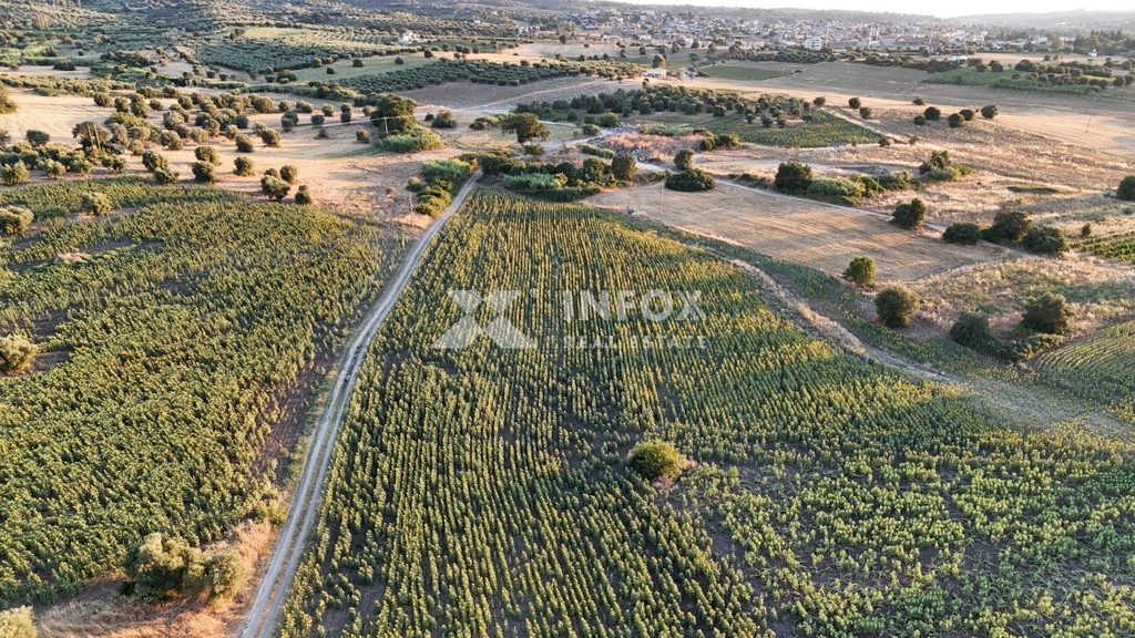 Αγροτεμάχια 20.441 τ.μ. προς πώληση, Κασσάνδρεια