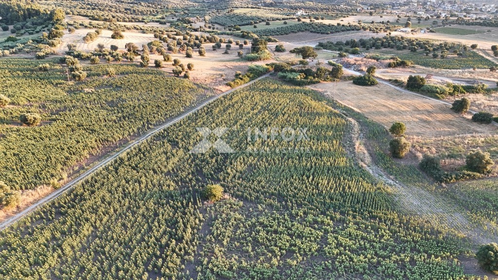 Αγροτεμάχια 20.441 τ.μ. προς πώληση, Κασσάνδρεια