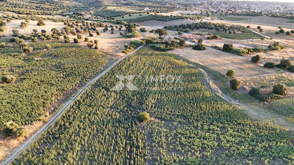 Αγροτεμάχια 20.441 τ.μ. προς πώληση, Κασσάνδρεια
