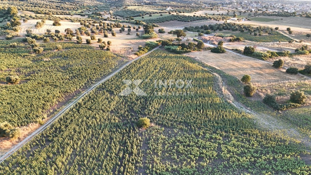 Αγροτεμάχια 20.441 τ.μ. προς πώληση, Κασσάνδρεια