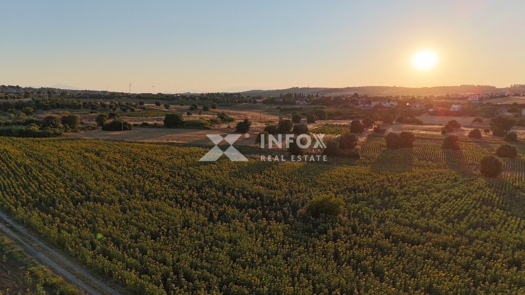 Αγροτεμάχια 20.441 τ.μ. προς πώληση, Κασσάνδρεια