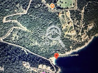 Αγροτεμάχια 15.613 τ.μ. για πώληση