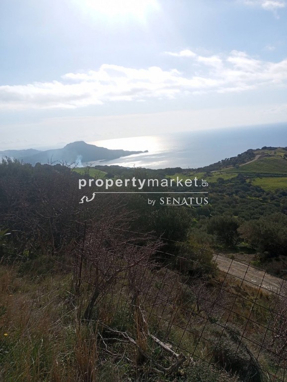 Οικόπεδο 4.400 τ.μ. πρός πώληση, Ν. Ρεθύμνου, Αρκάδι